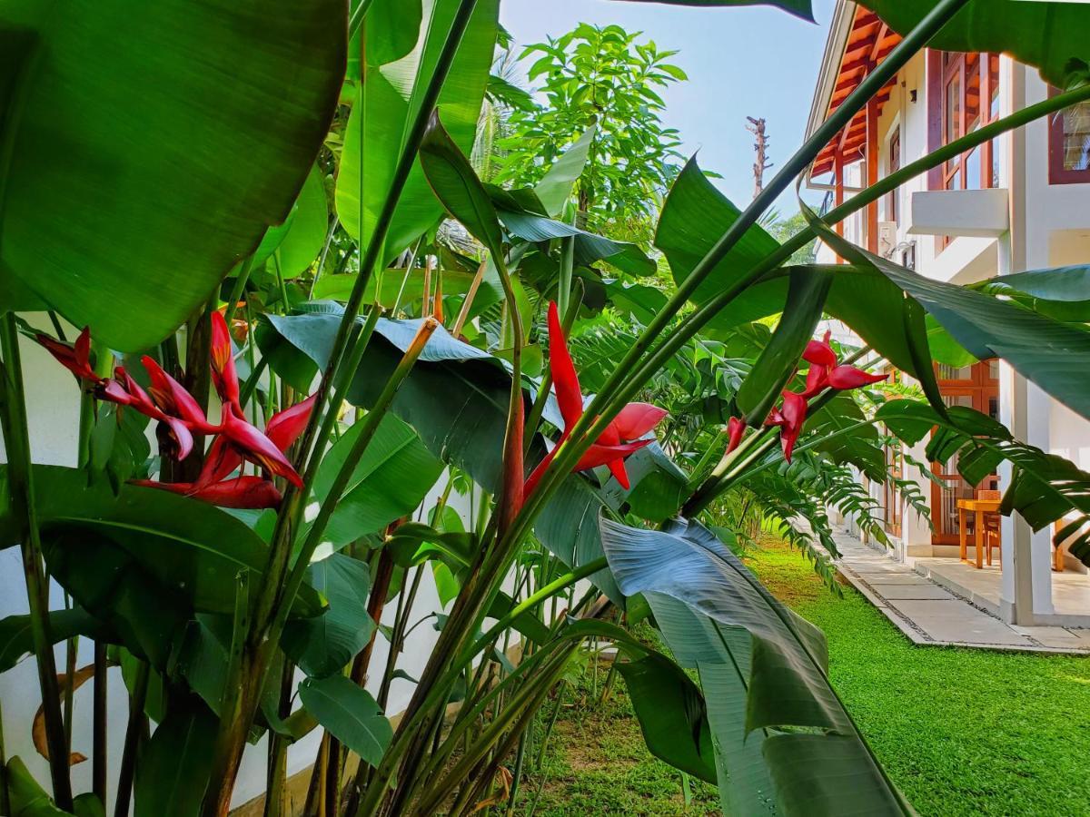 Villa Ema Galle Exterior foto